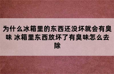 为什么冰箱里的东西还没坏就会有臭味 冰箱里东西放坏了有臭味怎么去除